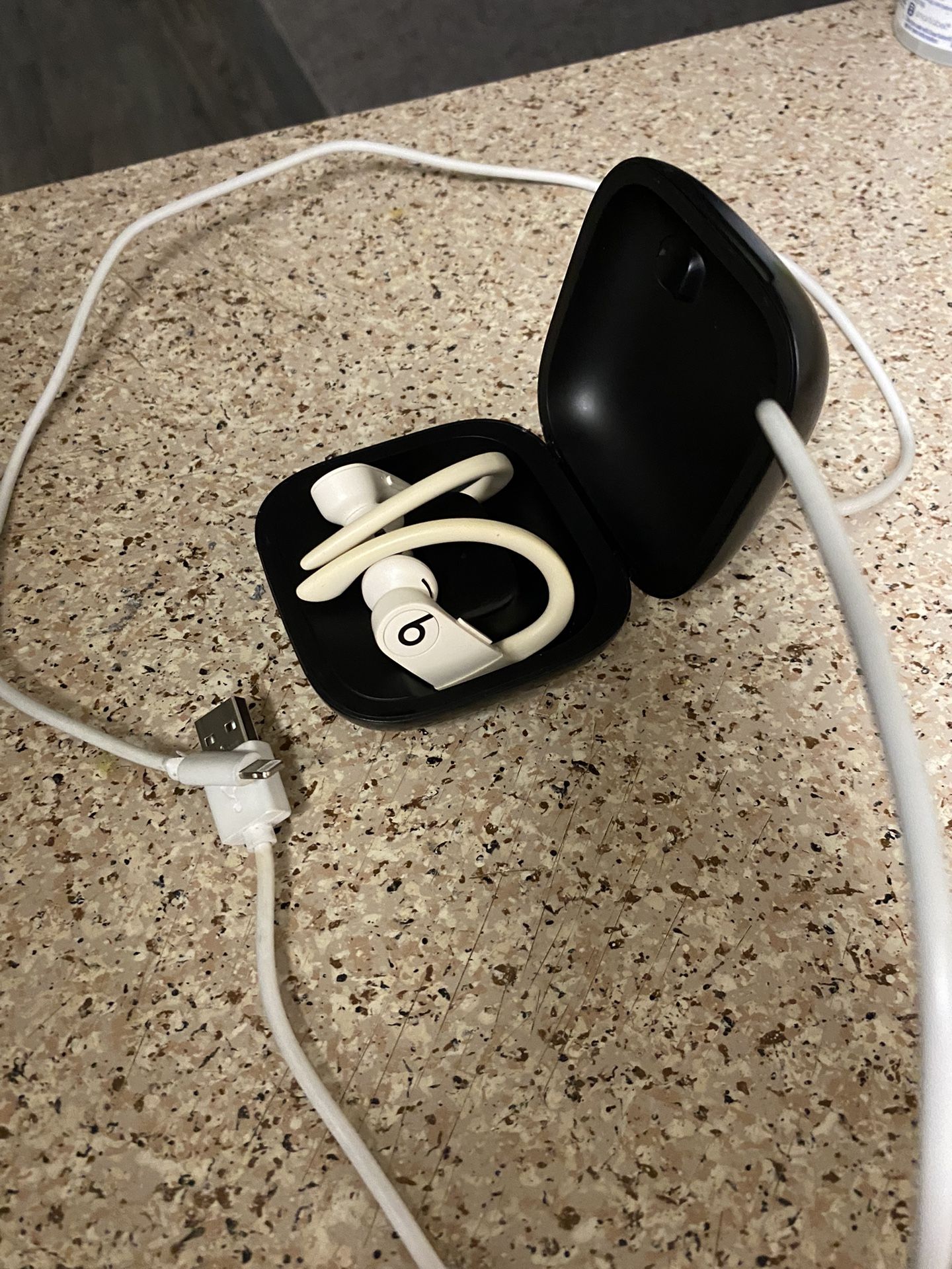 Beats Powerbeats Pro W/charger 