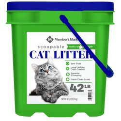 Cat Litter Never Open 