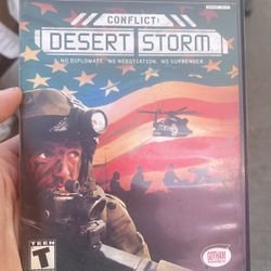 PS2 - Conflict: Desert Storm (Sony PlayStation 2 - *Complete +Manual