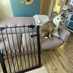 Dog & Baby Gate Heavy Duty 