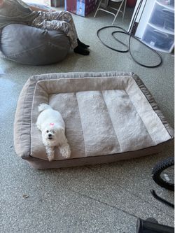 Dog bed