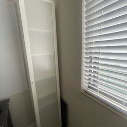 Tall Book case with door