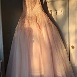 Quinceañera/ Sweet 16 dress