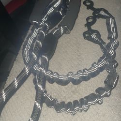 Double Lead Dog Leash For Two Dogs