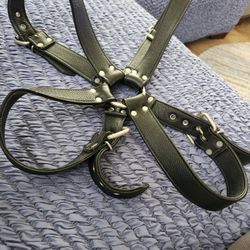 Leather Harness