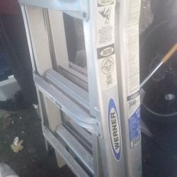 Werner Ladder (17ft-300lbsCAP)