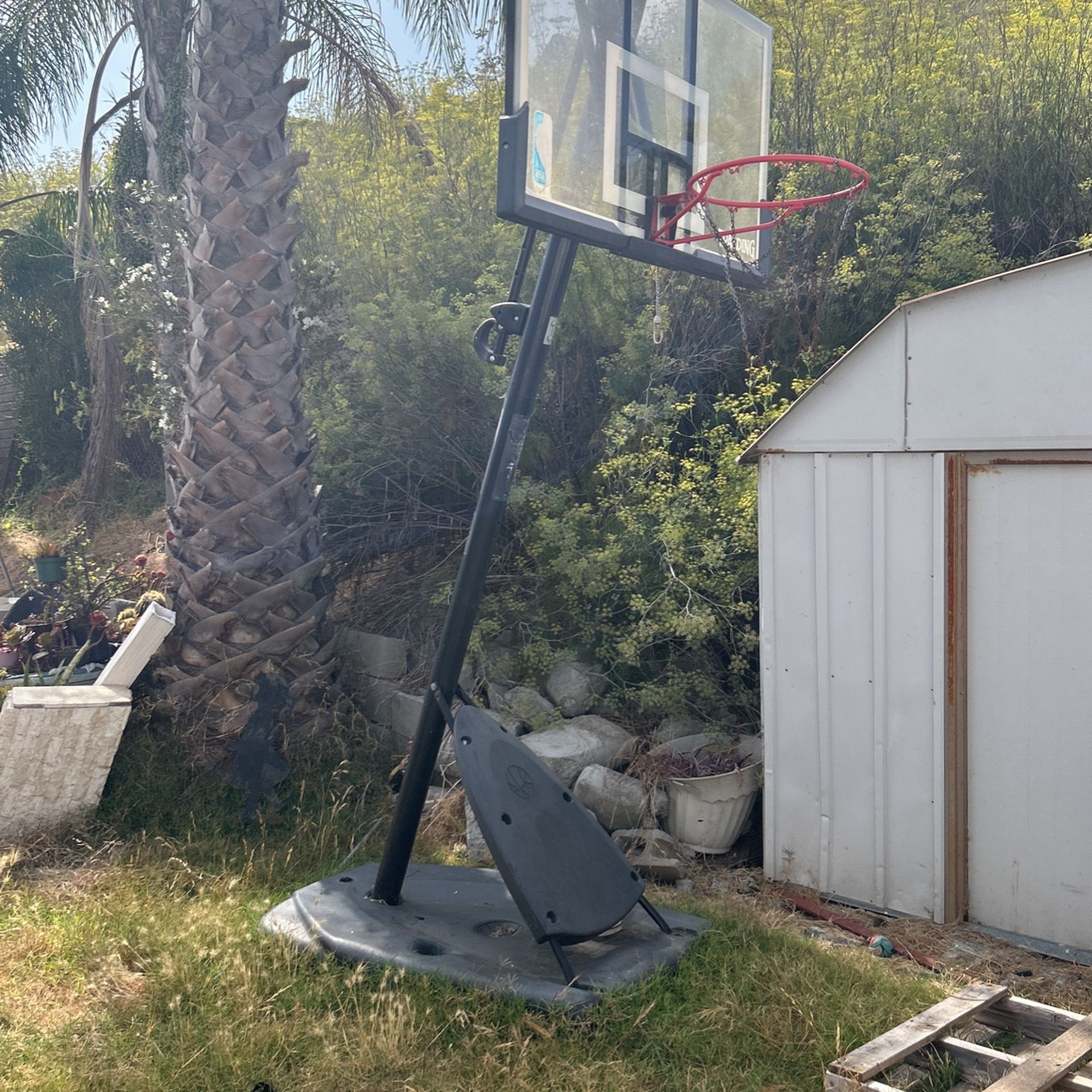 Portable Basketball Hoop