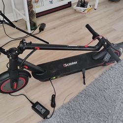 Electric Scooter 