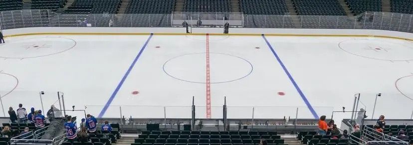 Washington Capitals at Anaheim Ducks