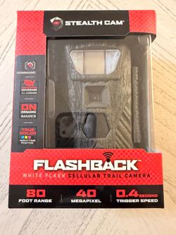 Stealth Camera - Flashback
