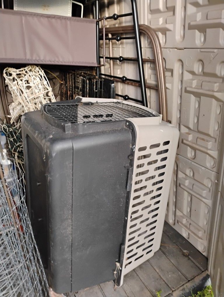 Dog Kennel