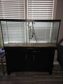 Fish Tank With Standar