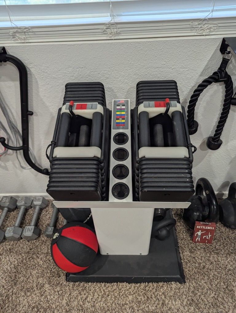Powerblock Classic Adjustable Dumbbell Set 20-90lbs
