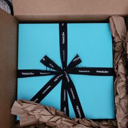 Tiffany & Co. x Mitchell & Ness Basketball Jersey Size M Medium IN HAND