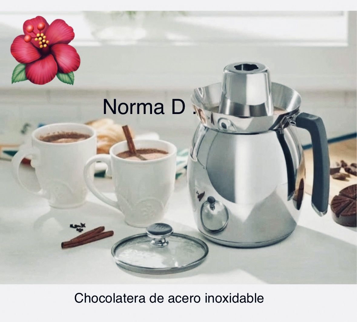 Chocolatera De Acero Inoxidable Nueva En Su Caja ๐บ Princess House ๐บ