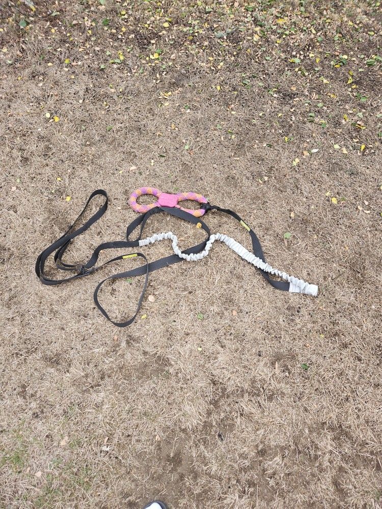 LIKE NEW!! ♡{Dog Bungee Toy}♡