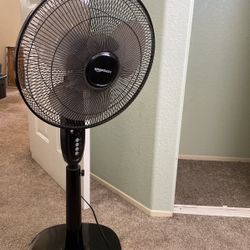 Good Fan 