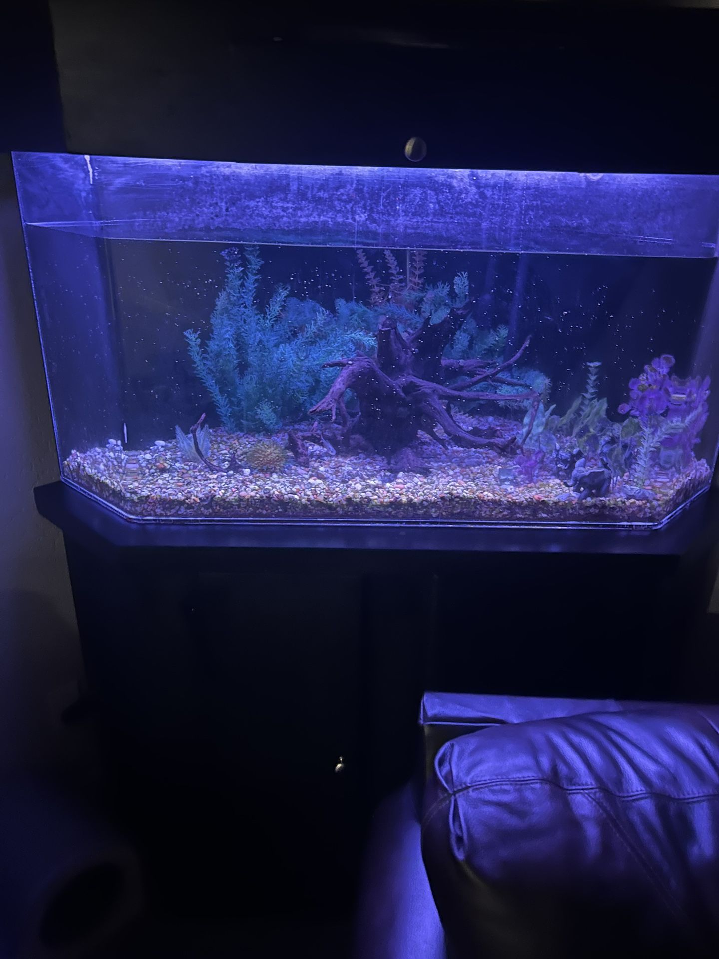 125 Gallon Fish Tank