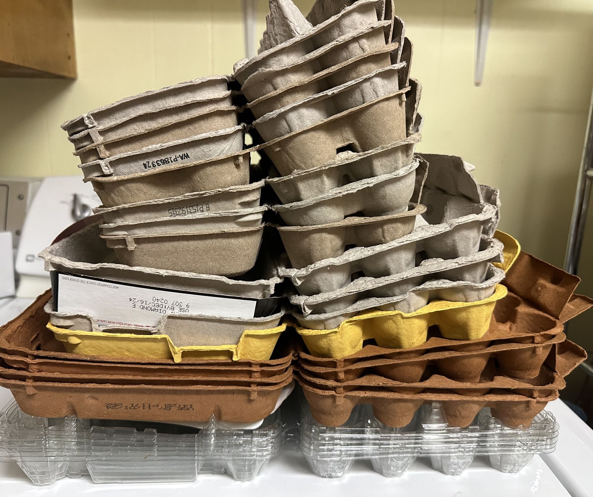 21 Egg Cartons TRADE for Organic Eggs