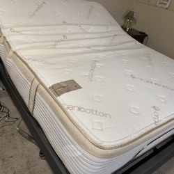 Queen Adjustable Bed And Mattress 