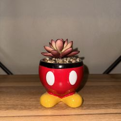 mickey mouse fake plant 