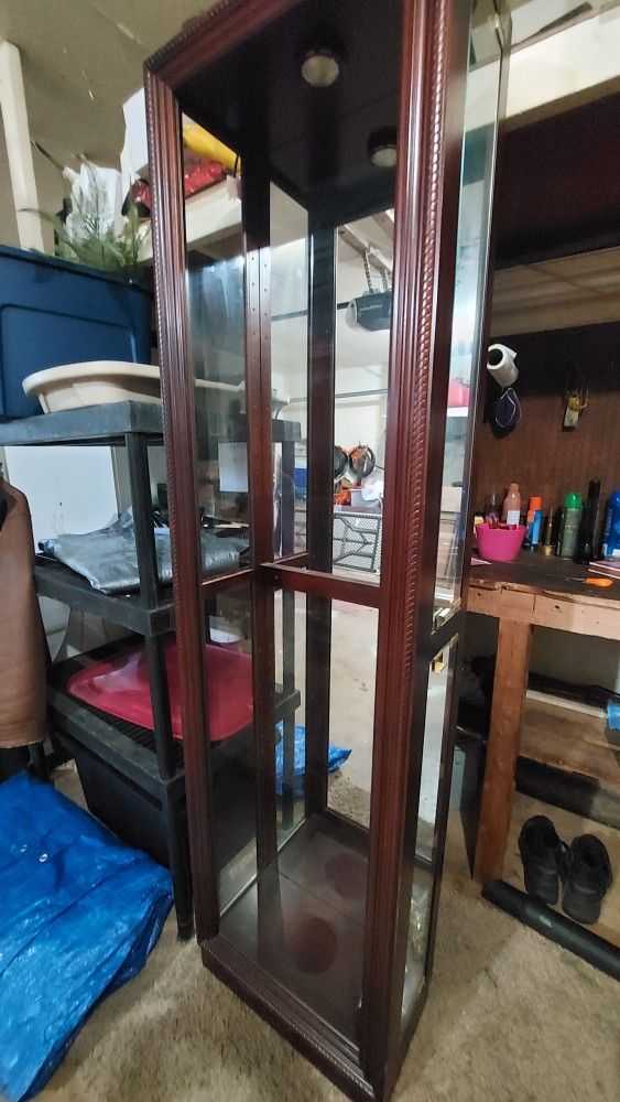 Glass Cabinet with 5 Glass Shelves