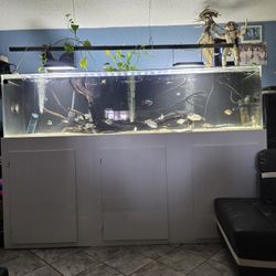 fish tank for sale