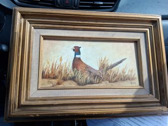 VINTAGE CANVAS PAINTING " RING NECK PHEASANT " SIGNED BY ARTIST.....asking $30.00