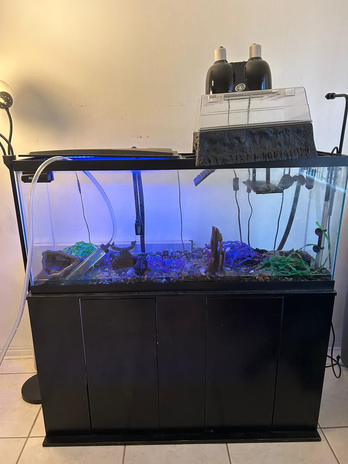 Turtle/ Fish Tank & Table For Sale 