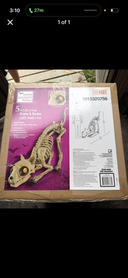 Home Depot Halloween 5 ft Grave & Bones LED Skelly's Cat **NEW*