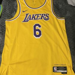 Nike LeBron James Lakers Icon Edition Jersey XL