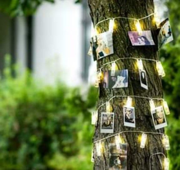 40 LED Clip Lights with remote