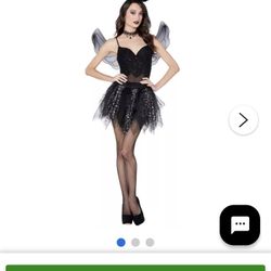 Fallen Angel  Costume 