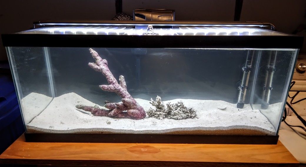 20 Gallon Long Saltwater Aquarium Fish Tank