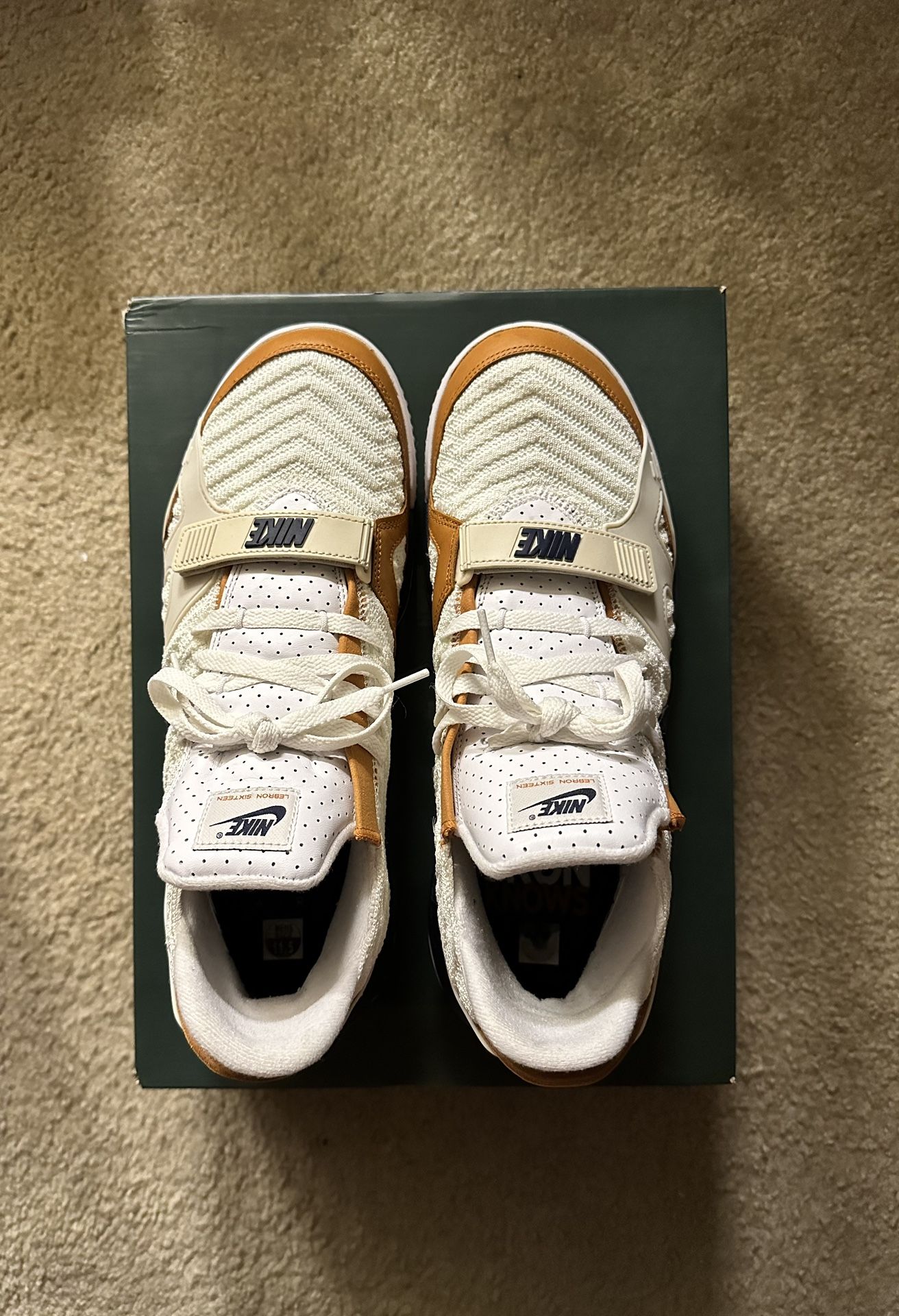 LeBron 16 Air Trainer Medicine Ball Sz