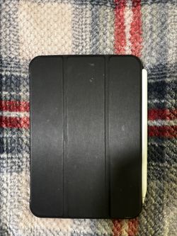 iPad Mini W/ Apple Pencil