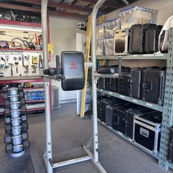 FREE Ab Leg Lift Cage