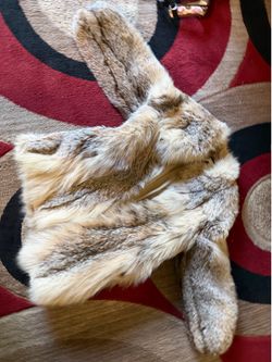 Canadian lynx coat