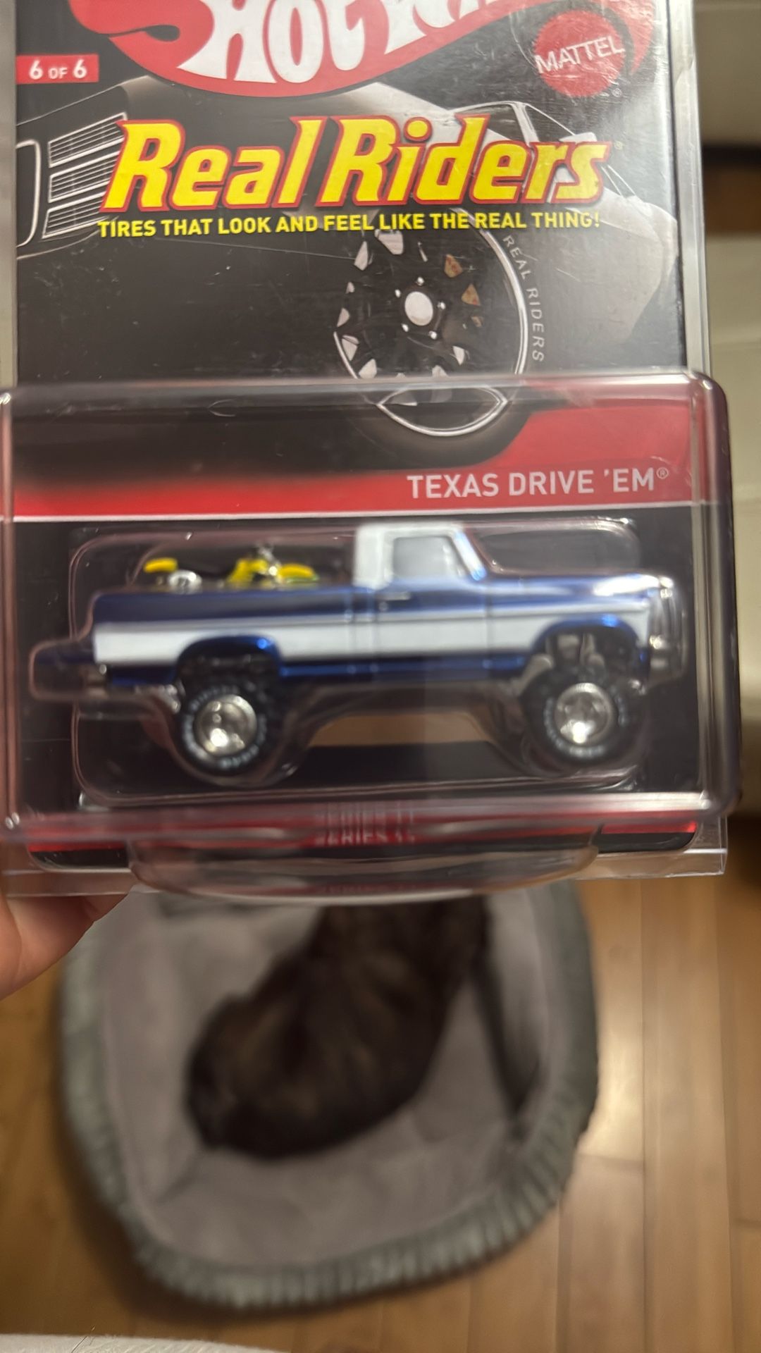 Hot Wheels Wheel Rider