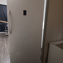 Upright Freezer Converts To Fridge 