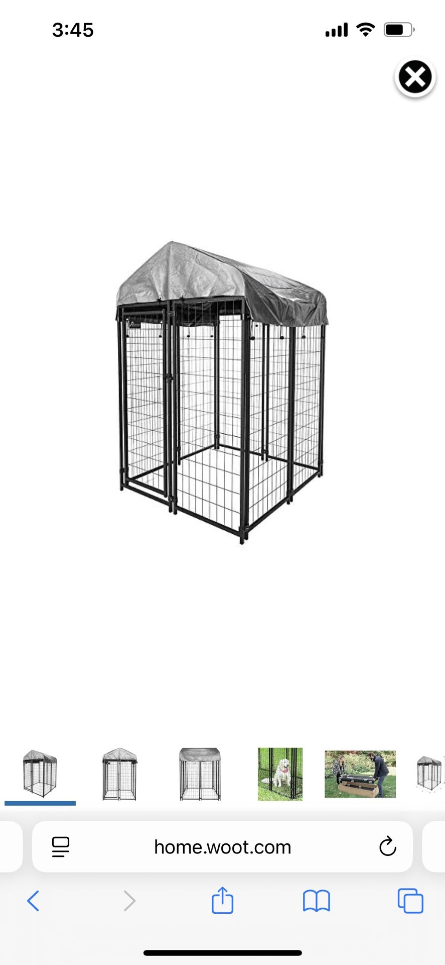 6x4x4 Dog Kennel - Outdoor