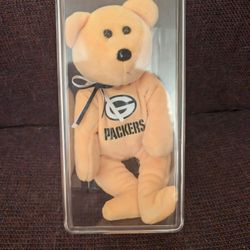 Green Bay Packers Bear W/Case