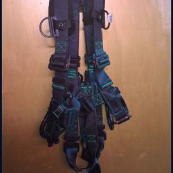 Safety Harness 