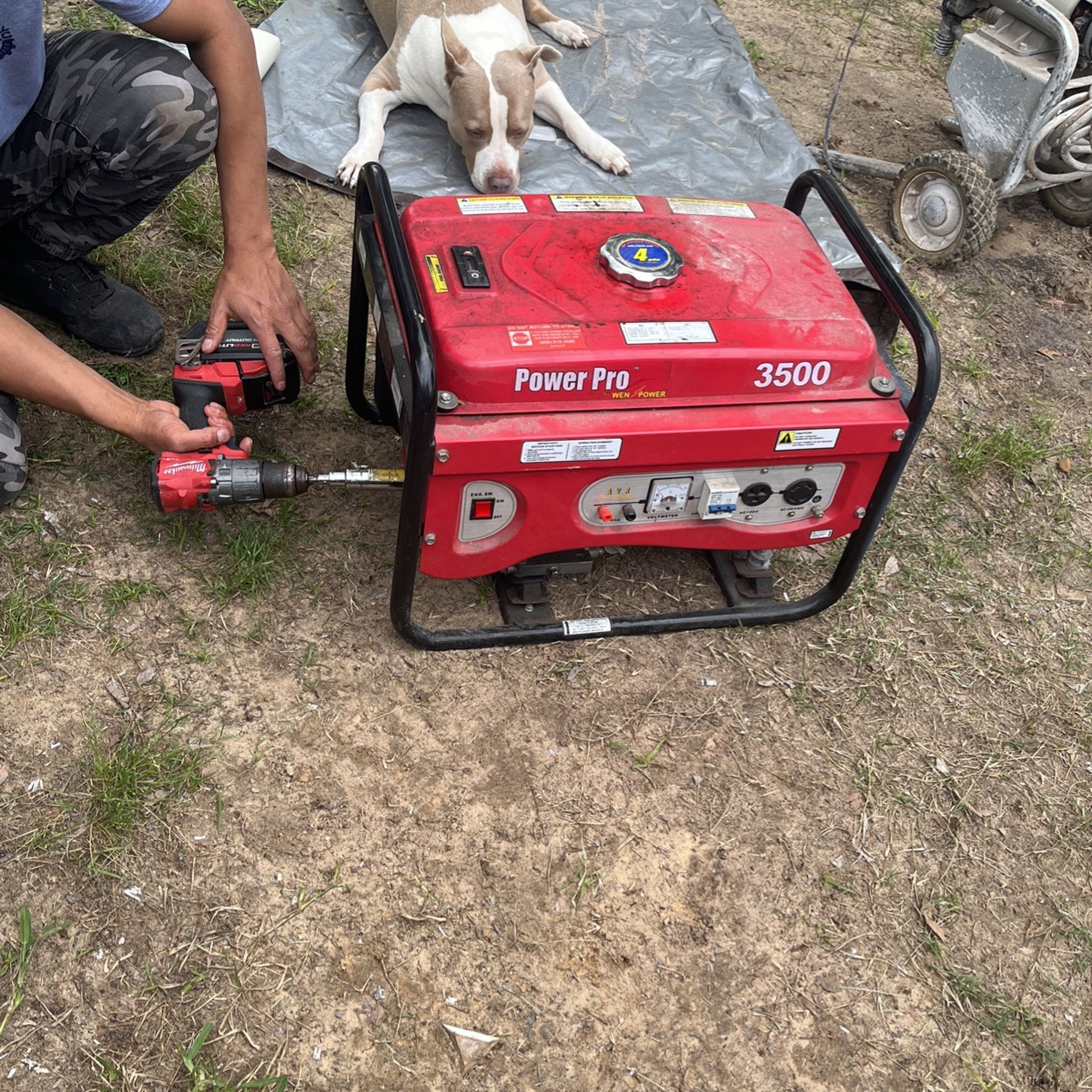 Generator