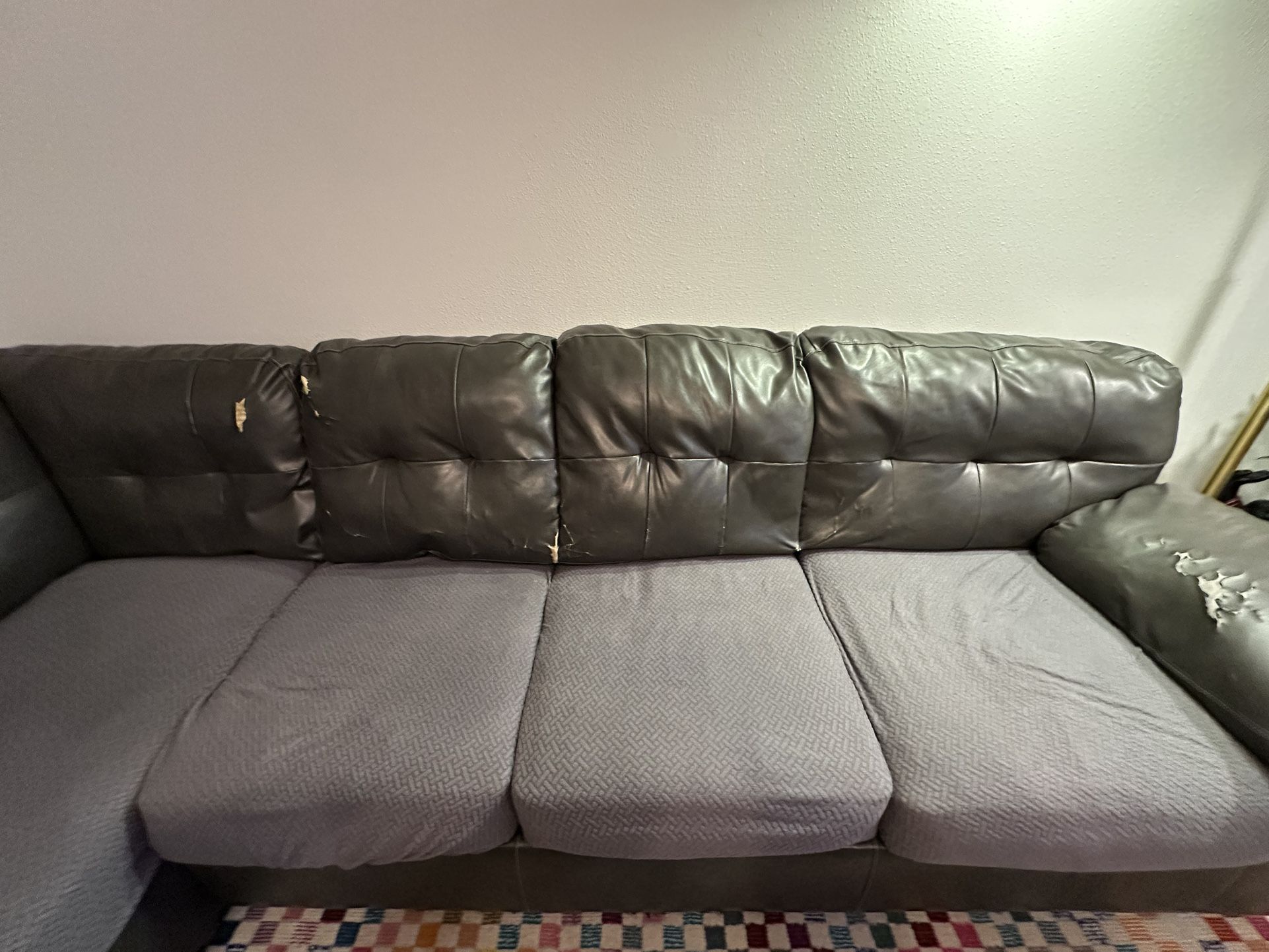 Free Sectional Couch
