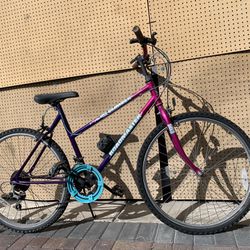 Adults / Teenagers Roadmaster Bike Bicycle 26inch Rims 10 Speed New Inner Tubes Ready To Ride 