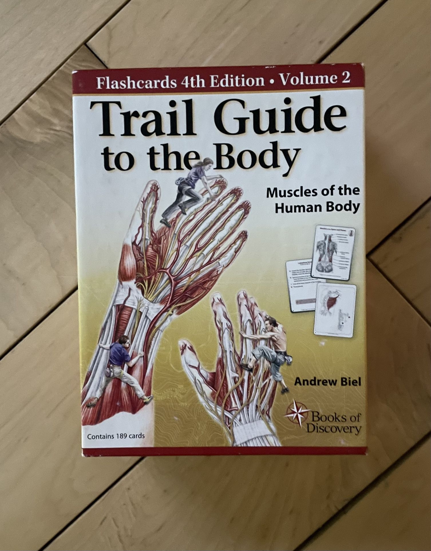 Andrew Biel Trail Guide to the Body Flashcards Vol 2: Muscles of the Body. For Massage Therapist’s