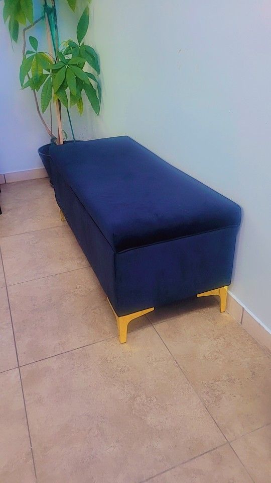 Back & Gold Storage Bench , Lightly Used