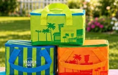 Trader Joe's Mini Insulated Bag