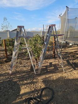 Werner 6' ladder